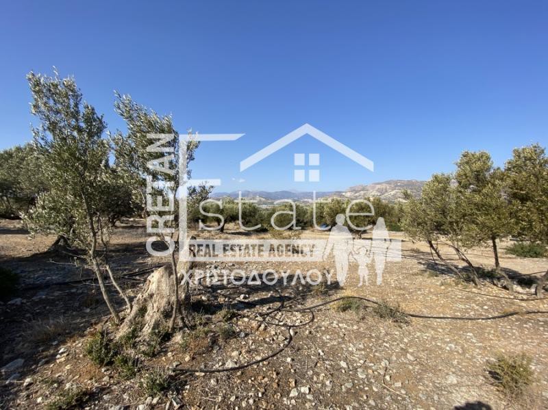 Αγροτεμάχια 8.000 τ.μ. πρός πώληση, Ν. Λασιθίου, Ιεράπετρα
