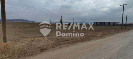 Αγροτεμάχια 8.000τ.μ. για πώληση-Εχέδωρος » Νέα μαγνησία