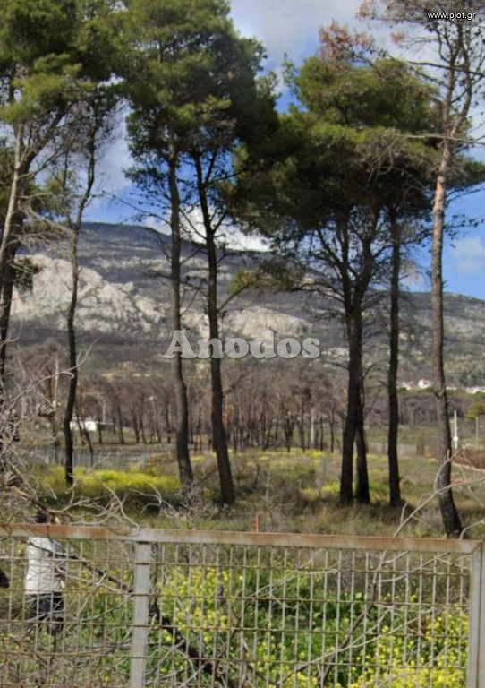 Οικόπεδο 8.000 τ.μ. προς ενοικίαση, Αθήνα - Δυτικά Προάστια, Αχαρνές