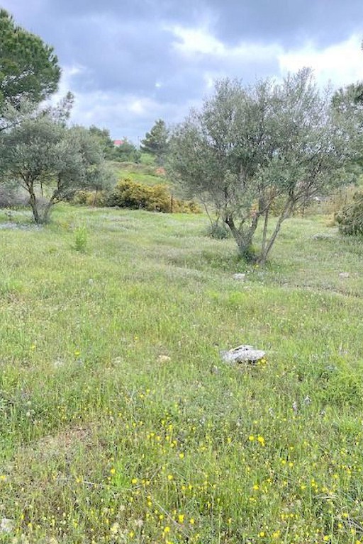 Οικόπεδο 6.000 τ.μ. πρός πώληση, Αθήνα - Ανατολικά Προάστια, Βαρνάβας