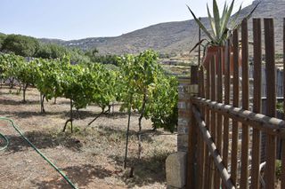 Οικόπεδο 3.300 τ.μ. για πώληση, Κυκλάδες, Άνδρος-thumb-18