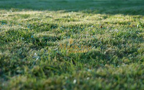 Land plot 1.171sqm for sale-Kaminia