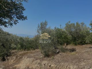 Αγροτεμάχια 32.450 τ.μ. για πώληση, Εύβοια, Αιδηψός-thumb-1