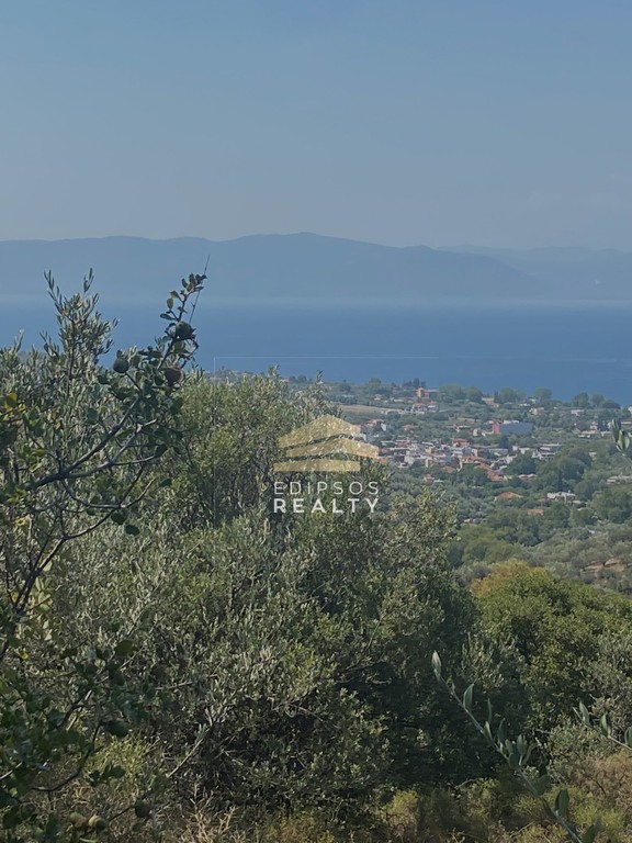Αγροτεμάχια 32.450 τ.μ. για πώληση, Εύβοια, Αιδηψός