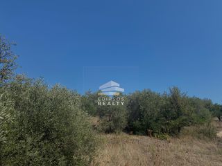 Αγροτεμάχια 32.450 τ.μ. για πώληση, Εύβοια, Αιδηψός-thumb-2