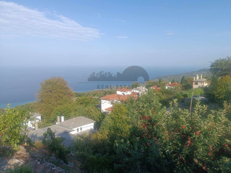 Μονοκατοικία 240 τ.μ. πρός πώληση, Μαγνησία, Ζαγορά