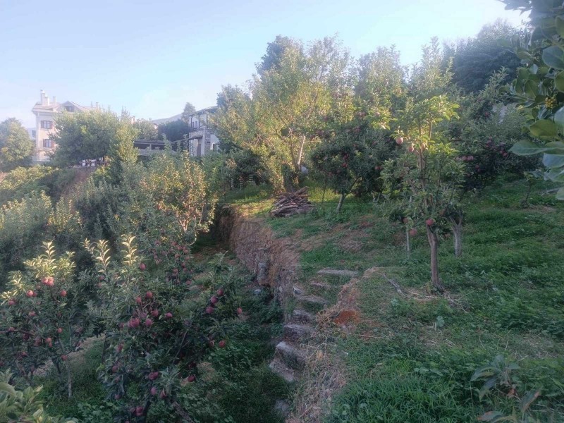 Μονοκατοικία 240 τ.μ. πρός πώληση, Μαγνησία, Ζαγορά
