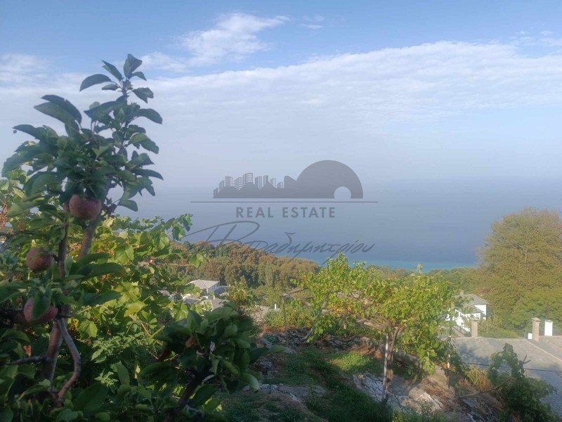 Μονοκατοικία 240 τ.μ. πρός πώληση, Μαγνησία, Ζαγορά