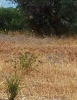 Land plot 762sqm for sale-Alimos » Center