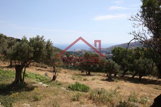 Αγροτεμάχια 2.150 τ.μ. για πώληση, Κυκλάδες, Άνδρος-thumb-22