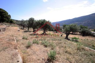 Αγροτεμάχια 2.150 τ.μ. για πώληση, Κυκλάδες, Άνδρος-thumb-20