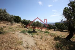Αγροτεμάχια 2.150 τ.μ. για πώληση, Κυκλάδες, Άνδρος-thumb-23