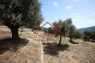Αγροτεμάχια 2.150 τ.μ. για πώληση, Κυκλάδες, Άνδρος-thumb-21