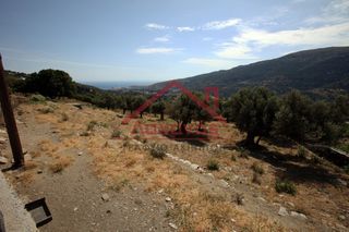 Αγροτεμάχια 2.150 τ.μ. για πώληση, Κυκλάδες, Άνδρος-thumb-16