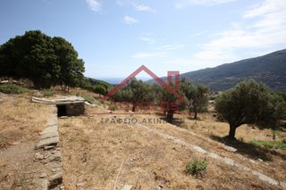 Αγροτεμάχια 2.150 τ.μ. για πώληση, Κυκλάδες, Άνδρος-thumb-24