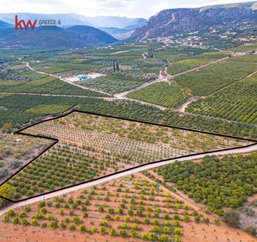 Parcel 31.528sqm for sale-Lerna