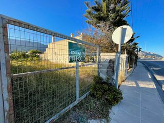 Οικόπεδο 817 τ.μ. για ενοικίαση, Ν. Χίου, Χίος-thumb-9