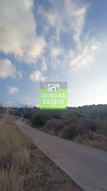 Οικόπεδο 4.180 τ.μ. προς πώληση, Δουλιανά