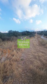 Land plot 4.180sqm for sale-Vamos » Douliana