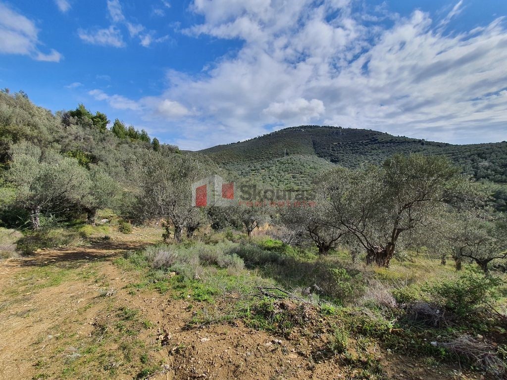 Αγροτεμάχια 14.294 τ.μ. προς πώληση, Λυγουριό