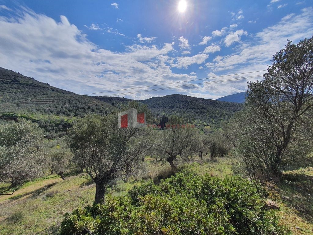 Αγροτεμάχια 14.294 τ.μ. προς πώληση, Λυγουριό