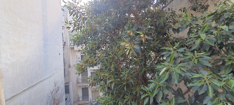 Οικόπεδο 200 τ.μ. προς πώληση, Ακαδημία Πλάτωνος