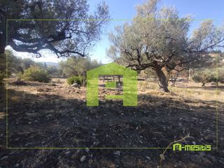 Land plot 1.809 sqm for sale