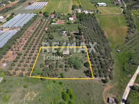 Parcel 2.875sqm for sale-Michaniona » Aggelochori