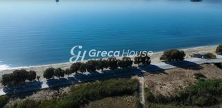 Οικόπεδο 58.000 τ.μ. για πώληση, Εύβοια, Κάρυστος-thumb-9