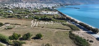 Οικόπεδο 58.000 τ.μ. για πώληση, Εύβοια, Κάρυστος-thumb-17