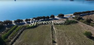 Οικόπεδο 58.000 τ.μ. για πώληση, Εύβοια, Κάρυστος-thumb-22