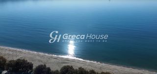 Οικόπεδο 58.000 τ.μ. για πώληση, Εύβοια, Κάρυστος-thumb-24