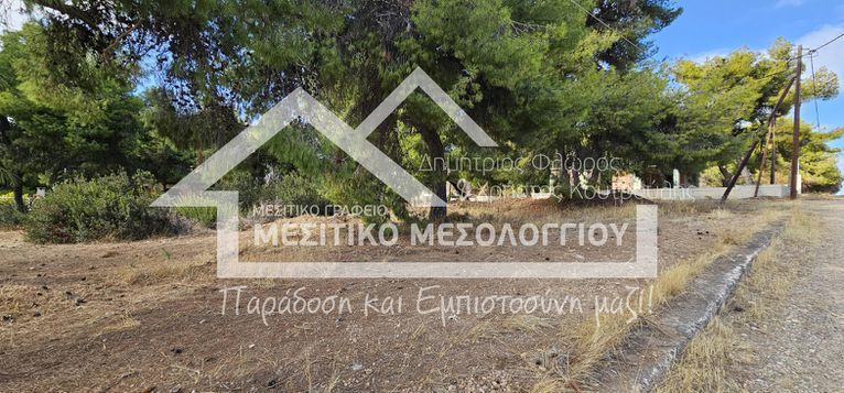 Οικόπεδο 1.154,94 τ.μ. για πώληση, Βοιωτία, Σχηματάρι