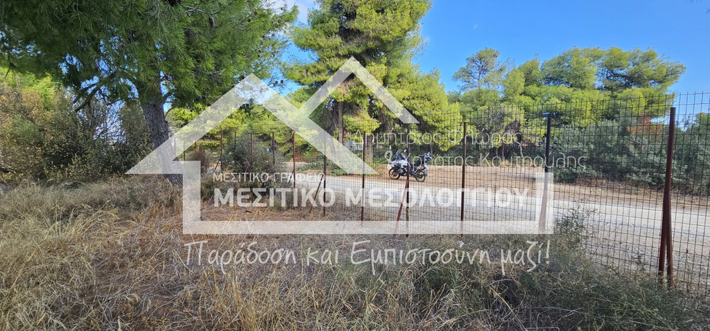Οικόπεδο 1.196,15 τ.μ. πρός πώληση, Βοιωτία, Σχηματάρι