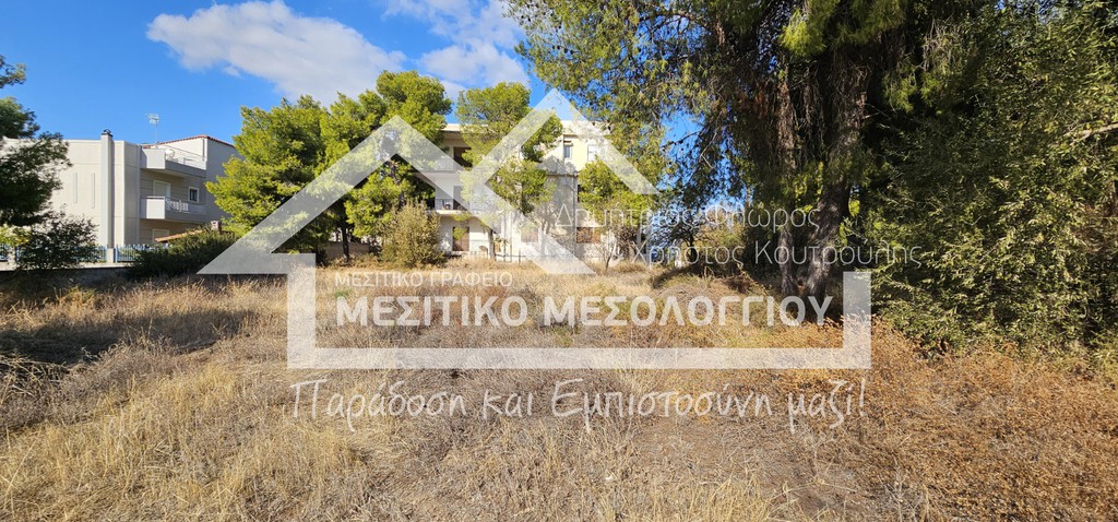 Οικόπεδο 1.196,15 τ.μ. πρός πώληση, Βοιωτία, Σχηματάρι