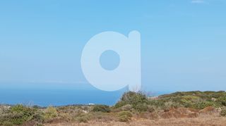 Οικόπεδο 3.707 τ.μ. προς πώληση, Αραίοι-thumb-6