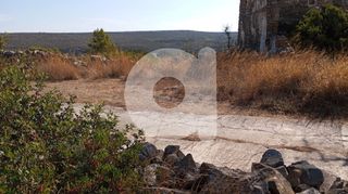 Οικόπεδο 3.707 τ.μ. προς πώληση, Αραίοι-thumb-1