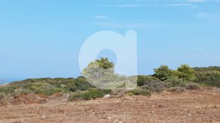 Οικόπεδο 3.707 τ.μ. προς πώληση, Αραίοι-thumb-5