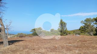 Οικόπεδο 3.707 τ.μ. προς πώληση, Αραίοι-thumb-3