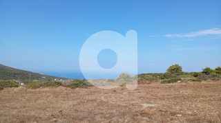 Οικόπεδο 3.707 τ.μ. προς πώληση, Αραίοι-thumb-7