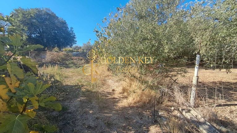 Land plot 525 sqm for sale, Kavala Prefecture, Eleitheres