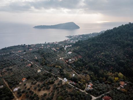 Αγροτεμάχια 5.275τ.μ. για πώληση-Θάσος » Κοίνυρα