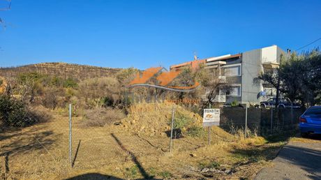 Οικόπεδο 750τ.μ. για πώληση-Αλεξανδρούπολη » Παλαγία
