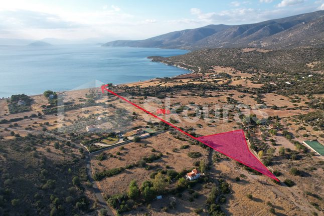 Αγροτεμάχια 5.355,70 τ.μ. για πώληση, Αργολίδα, Κρανίδι