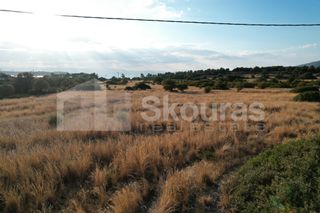 Αγροτεμάχια 5.355,70 τ.μ. για πώληση, Αργολίδα, Κρανίδι-thumb-11