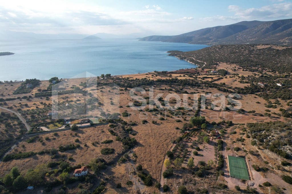 Αγροτεμάχια 5.355,70 τ.μ. προς πώληση, Κρανίδι