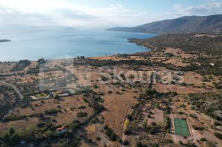 Αγροτεμάχια 5.355,70 τ.μ. για πώληση, Αργολίδα, Κρανίδι-thumb-2