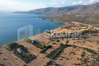 Αγροτεμάχια 5.355,70 τ.μ. για πώληση, Αργολίδα, Κρανίδι-thumb-5