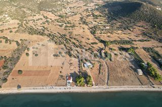 Αγροτεμάχια 5.355,70 τ.μ. για πώληση, Αργολίδα, Κρανίδι-thumb-10