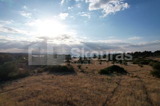 Αγροτεμάχια 5.355,70 τ.μ. για πώληση, Αργολίδα, Κρανίδι-thumb-18